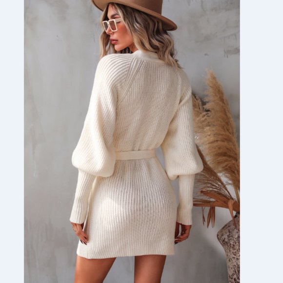 Rib-Knit Lantern Sleeve Belted Sweater Dress - Picture 2 of 16